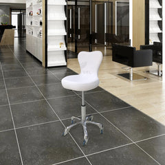Beauty Salon Adjustable Stool White