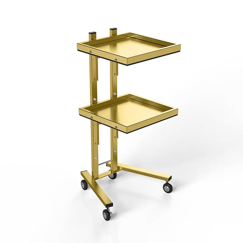 Modern Salon Serving Trolley for Beauty Professionals – Golden Finish - salon trolley Oman - Beauty salon serving trolley Saudi Arabia - Golden trolley Qatar - Al Basel