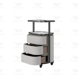 Salon & Spa Trolley – 3-Tier Storage Cart for Professional Beauty Studios Grey - Al Basel Cosmetics - UAE